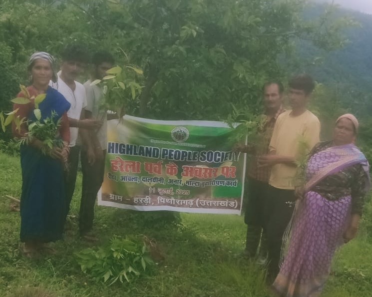 Tree Plantation